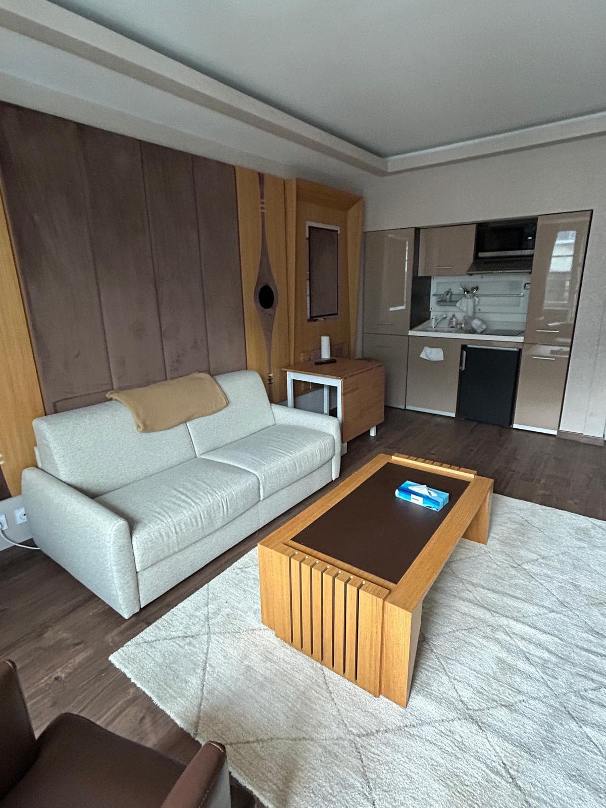 Champs-Elysées - Moderne appartement meublé - Image 3