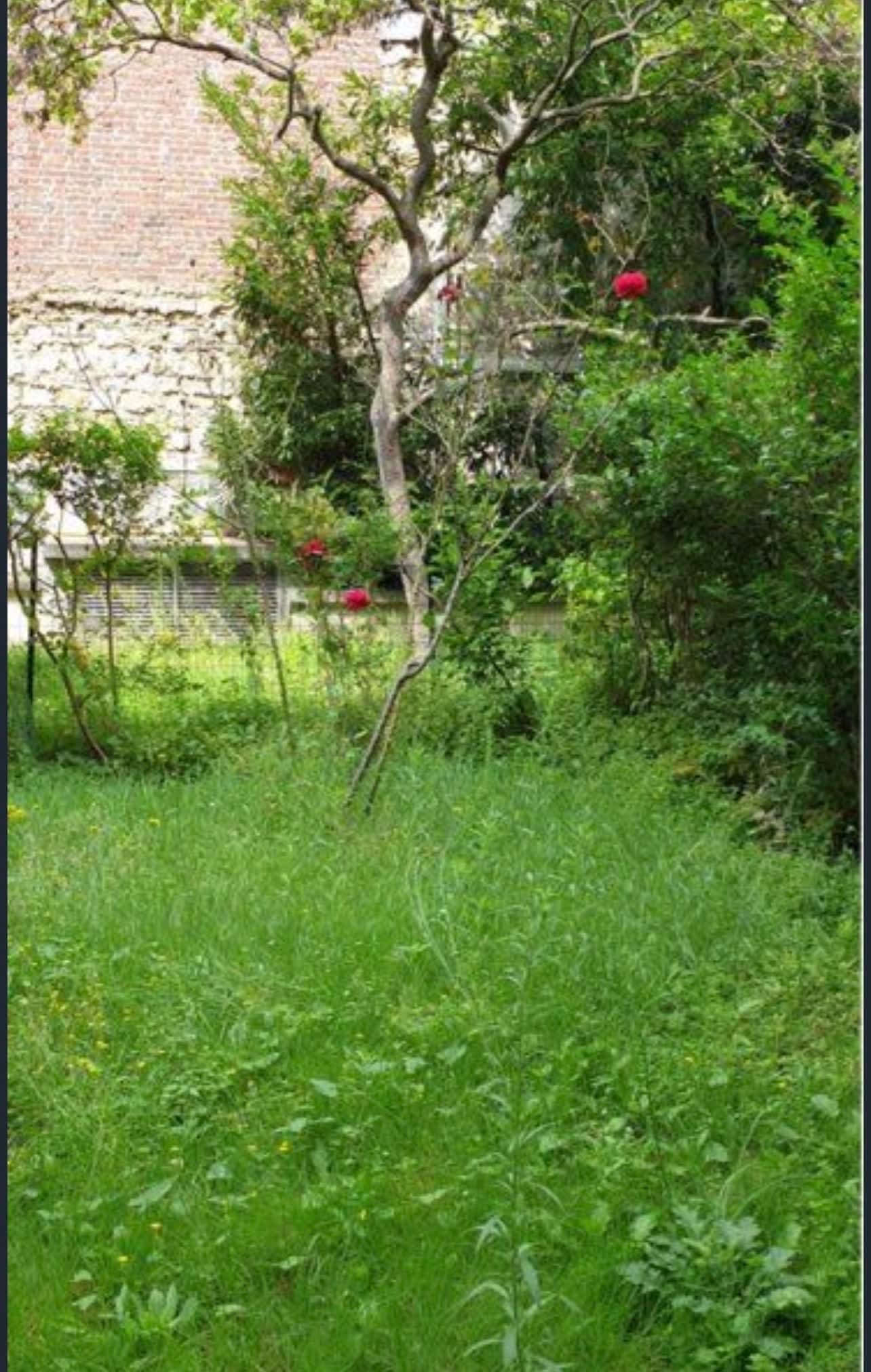 Courbevoie - Studio meublé avec jardin - Image 3
