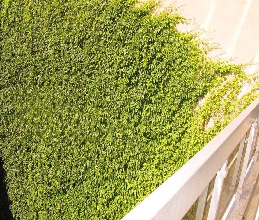 APPARTEMENT PROCHE PASSY - Image 3