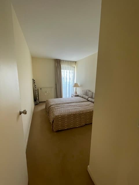 APPARTEMENT FAMILIAL PROCHE VICTOR-HUGO - Image 8