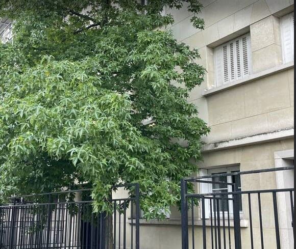 Un 2 pièces plein sud au cœur de Neuilly - Image 7